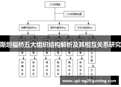 斯坦福桥五大组织结构解析及其相互关系研究