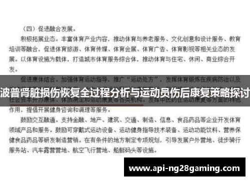 波普肾脏损伤恢复全过程分析与运动员伤后康复策略探讨