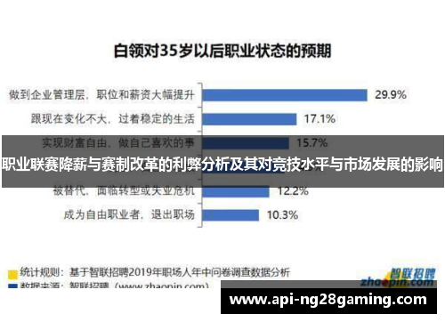 职业联赛降薪与赛制改革的利弊分析及其对竞技水平与市场发展的影响