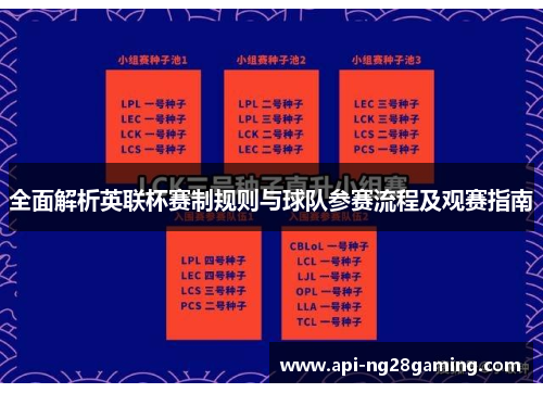 全面解析英联杯赛制规则与球队参赛流程及观赛指南