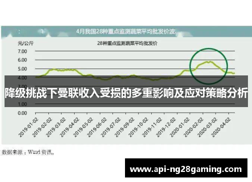 降级挑战下曼联收入受损的多重影响及应对策略分析