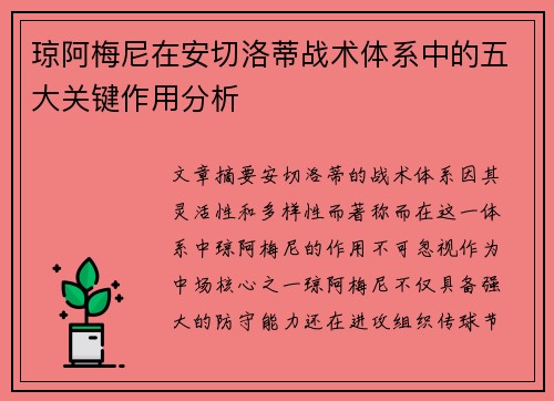 琼阿梅尼在安切洛蒂战术体系中的五大关键作用分析